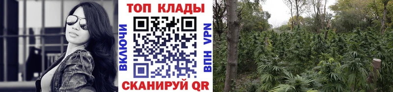 Купить закладку Сураж Бошки Шишки СОЛЬ COCAIN ГАШИШ Меф
