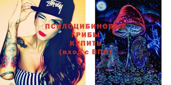 мдпв Новозыбков