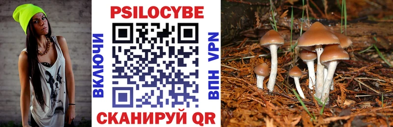 купить наркоту  Сураж  Галлюциногенные грибы мухоморы 